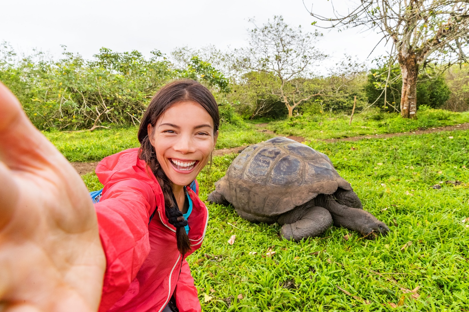 Female traveler taking a selfie with a Galapagos giant tortoise during an ecotour in Ecuador's Galapagos Islands